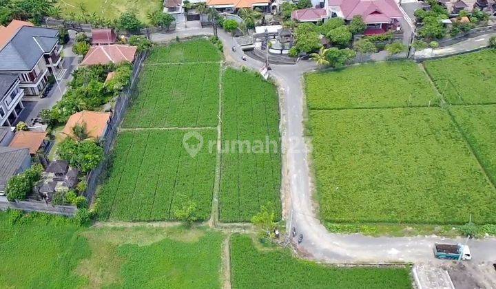 Disewakan Tanah Lokasi Jalan Tukad Bilok Renon Denpasar Selatan 1