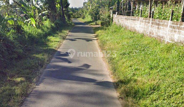 Dijual Kebun Lokasi Pinggir Jalan Utama Pelaga Petang Badung View Pegunungan 2