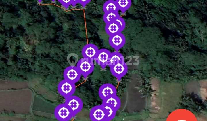 Disewakan/Dikontrakan sebidang tanah persawahan cocok untuk villa lokasi pejeng kaja tampak siring los sungai luas 1 hektar 10