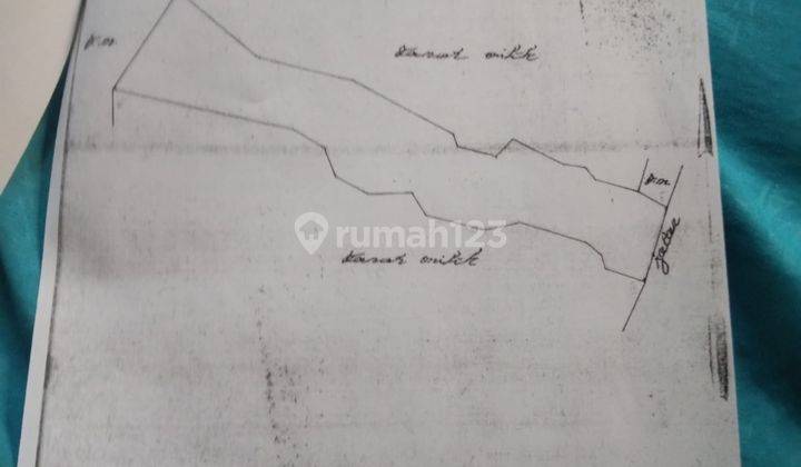 Disewakan/Dikontrakan sebidang tanah persawahan cocok untuk villa lokasi pejeng kaja tampak siring los sungai luas 1 hektar 11
