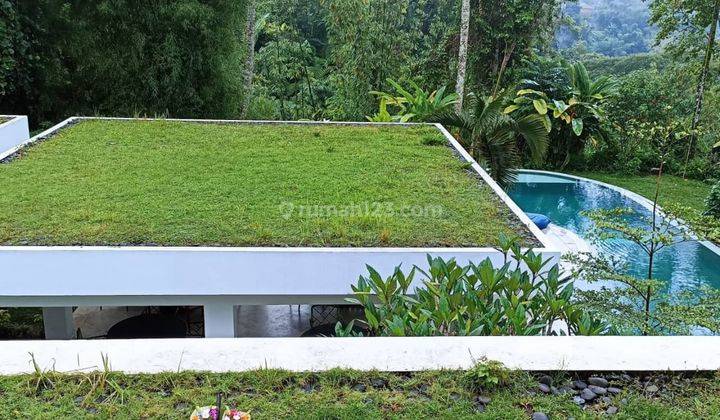 Dijual villa dengan view lembah di tegalalang bali  2