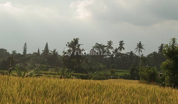 Dijual tanah dengan view sawah dekat dengan ubud aspek perumahan 1