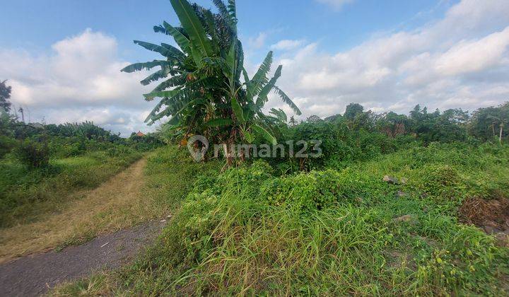 Dijual sebidang tanah kosong zona kuning lokasi luk luk sempidi badung cocok untuk perumahan/gudang akses 6 meter 7