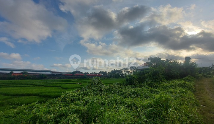 Dijual sebidang tanah kosong zona kuning lokasi luk luk sempidi badung cocok untuk perumahan/gudang akses 6 meter 9