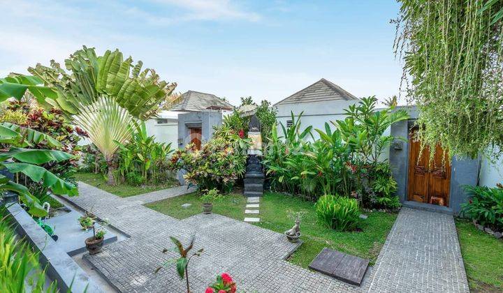 Hot For Sale 4 Units Villa Complexs In Canggu With Beautiful Rice Field View
 1