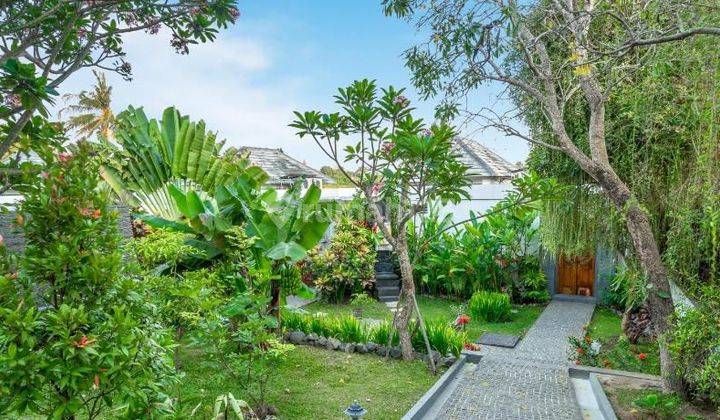 Hot For Sale 4 Units Villa Complexs In Canggu With Beautiful Rice Field View
 2