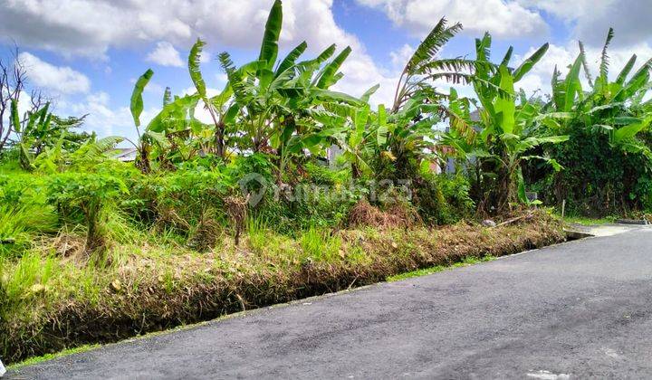 Tanah Murah 5 are Bina Kusuma Cokrominoto akses jalan 8 Meter Hotmix 2