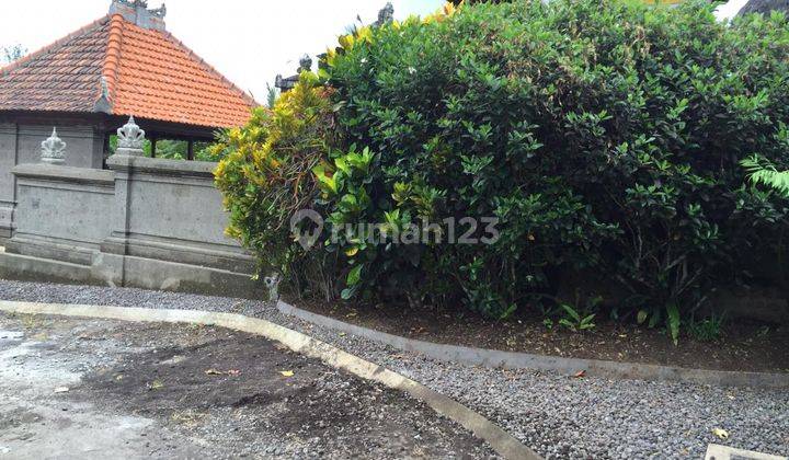 Dijual rumah style bali dikelilingi sawah dan view gunung, lokasi antosari tabanan dekat tol Gilimanuk - Mengwi 8