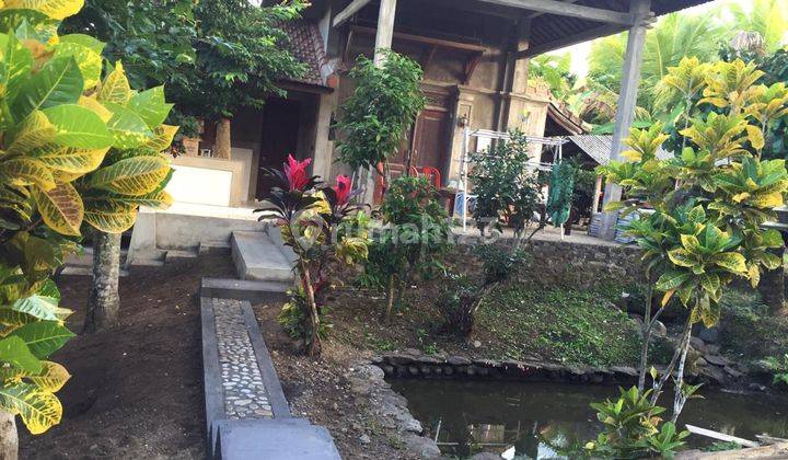 Dijual rumah style bali dikelilingi sawah dan view gunung, lokasi antosari tabanan dekat tol Gilimanuk - Mengwi 17
