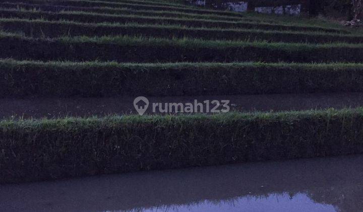 Dijual rumah style bali dikelilingi sawah dan view gunung, lokasi antosari tabanan dekat tol Gilimanuk - Mengwi 18
