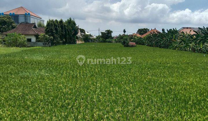 Dijual tanah komersial dekat oantai berawa canggu 2