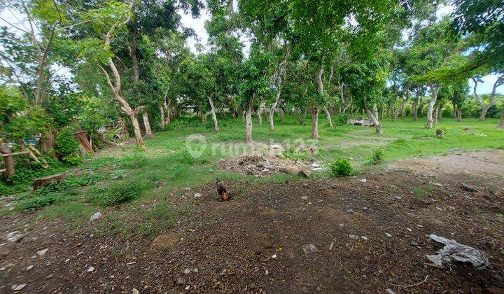 Dikontrakan sebidang tanah kosong lingkungan villa lokasi sanur kaja harus di ambil global 7