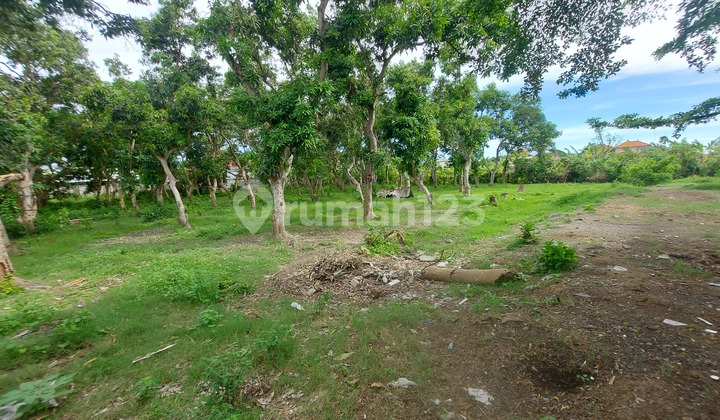 Dikontrakan sebidang tanah kosong lingkungan villa lokasi sanur kaja harus ambil global 6