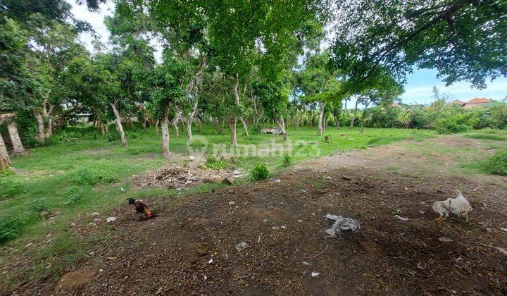 Dikontrakan sebidang tanah kosong lingkungan villa lokasi sanur kaja harus ambil global 8