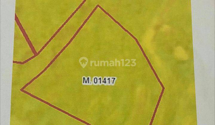 Dijual tanah kapling jalan raya cepaka Selingsing dekat tumbak bayuh dan Munggu  3