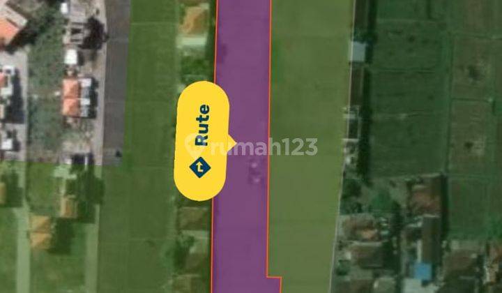 Dikontrakan/disewakan sebidang tanah sawah cocok untuk perumahan lokasi denpasar timur Zona Kuning akses jalan paving 5 meter 6