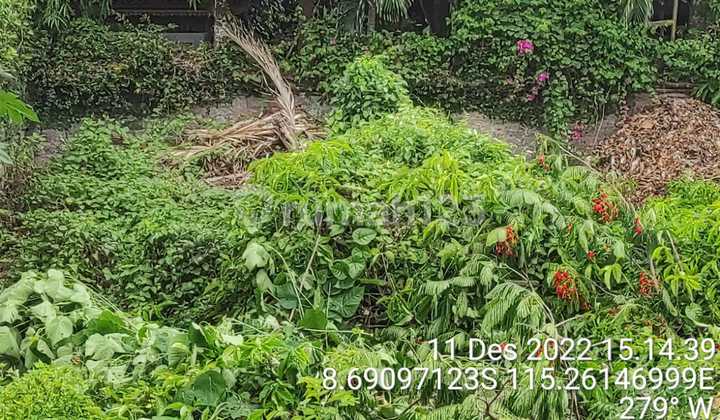 Disewakan/Dikontrakan sebidang tanah lokasi sanur jalan bumi ayu dekat ke pantai lingkungan villa 5