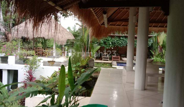For Sale Villa Los Sungai Lokasi Cepaka Kediri Tabanan dekat Canggu 1