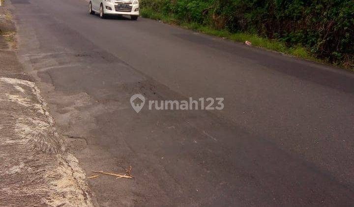 Dijual tanah pinggir jalan utama Jl Raya Luk-Luk - Darmasaba cocok untuk segala jenis usaha  1