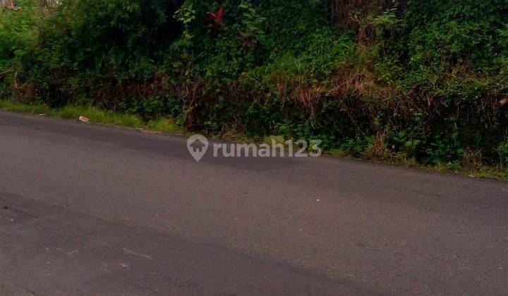 Dijual tanah pinggir jalan utama Jl Raya Luk-Luk - Darmasaba cocok untuk segala jenis usaha  3