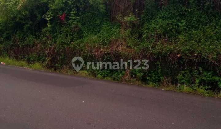 Dijual tanah pinggir jalan utama Jl Raya Luk-Luk - Darmasaba cocok untuk segala jenis usaha  4