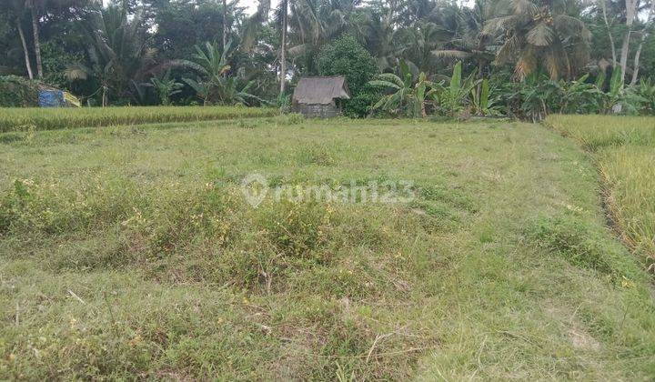 Dijual tanah view sawah jalan utama lodtunduh ubud 1