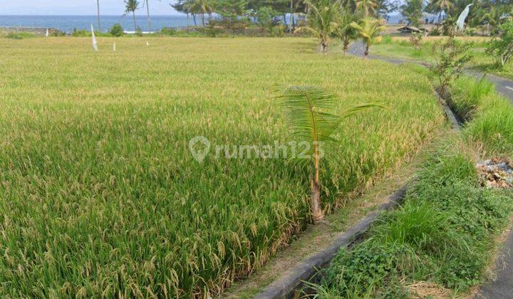 Dijual sebidang tanah lokasi dekat pantai masceti view sawah dan pantai cocok untuk villa jarak dari pantai 200 meter 2