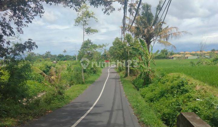 Land for sale with rice field view near Purma Ketewel beach 1