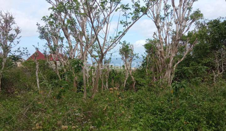 Dijual tanah view laut pecatu kuta selatan 2