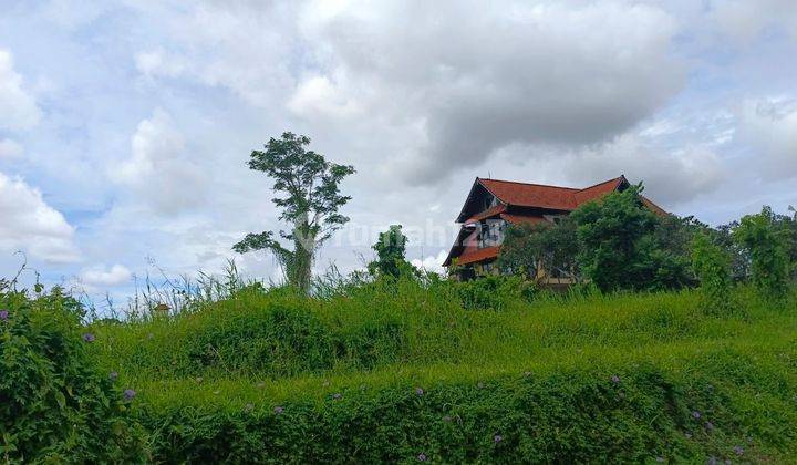 For sale frehold premium land in central ubud 2