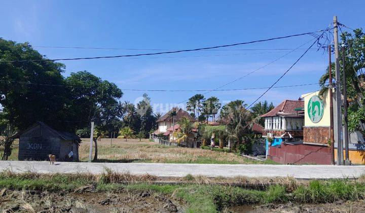 Dijual Sebidang Tanah Sawah Lokasi Medahan Gianyar Dekat Dengan Pantai dan By Pas Ida Bagus Mantra Lingkungan Villa 2