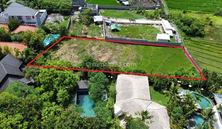 Land for sale on Jalan Umalas ll Kerobokan 1