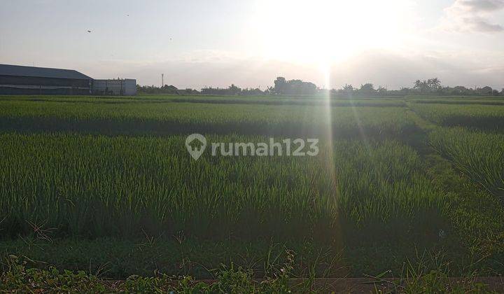 Disewakan tanah zona pariwisata dekat pantai cemagi 1