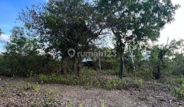 For Sale Plot of Land Full View Ungasan location near Garuda Wisnu Kencana 2