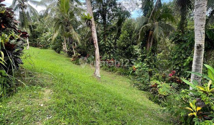 For sale Villa Location Bedulu Goa Gajah Ubud Gianyar Bali 2