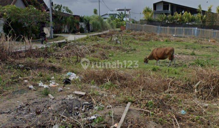 FOR SALE Tanah KAVLING  View Sawah lokasi Pantai Lima / Pererenan Badung Bali  2