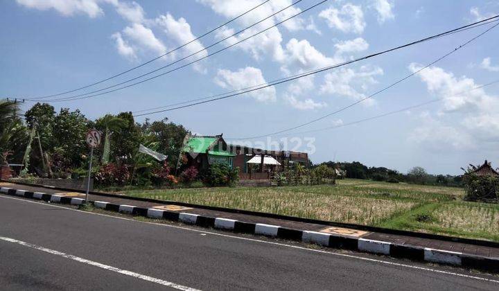 Dijual Tanah Jalan Utama Tanah Lot Beraban Tabanan Bali 1