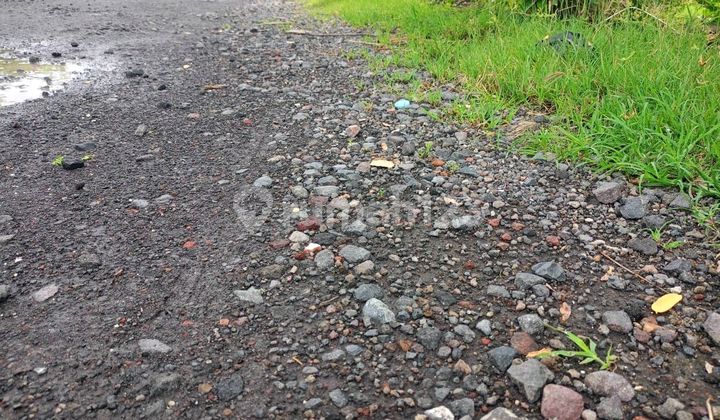 Dijual Tanah Kosong Lokasi Tukad Badung Renon Denpasar 