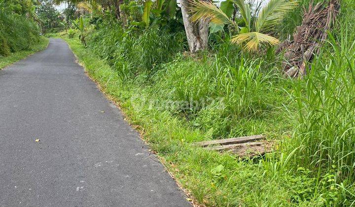 Dijual Sebidang Sawah Lokasi Desa Baru Kecamatan Marga Tabanan Akses Jalan Mobil Aspal 2