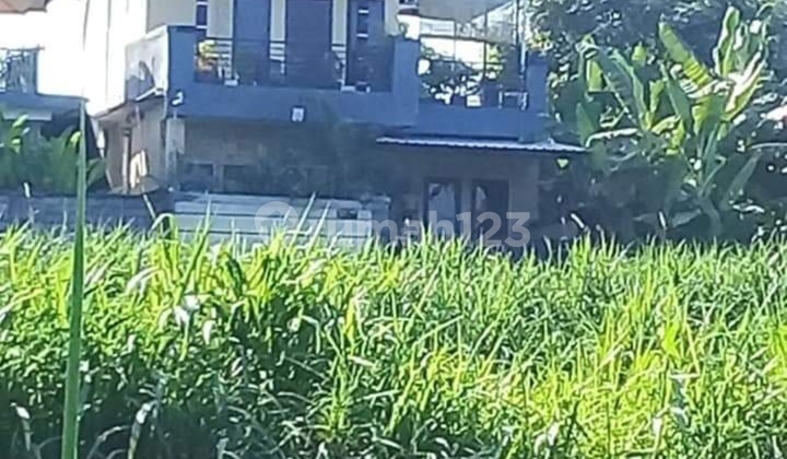 For Rent Villa Lokasi Jalan Pantai Saba Blahbatuh Gianyar Bali Dekat Ke Pantai For Rent Villa Lokasi Jalan Pantai Saba Blahbatuh Gianyar Bali Dekat Ke Pantai