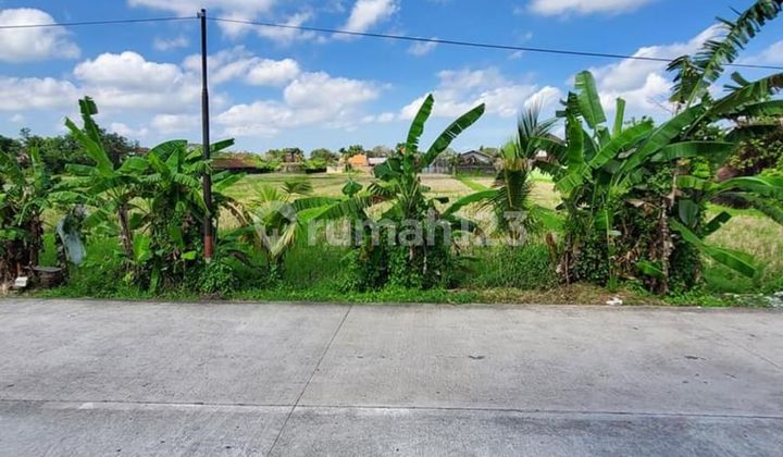 Land in Front of Mengwi Badung Terminal