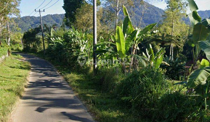 Dijual Kebun Lokasi Pinggir Jalan Utama Pelaga Petang Badung View Pegunungan 1