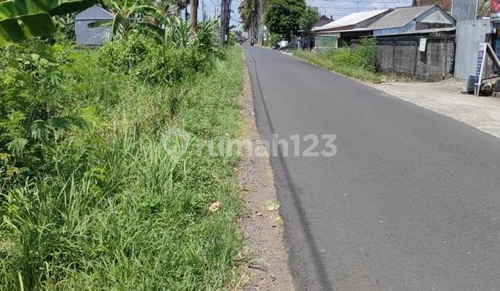 Dijual Tanah Pinggir Jalan Utama Pantai Kedungu Bali Berjarak 8 Menit Menuju Kedungu Beach Dijual Tanah Pinggir Jalan Utama Pantai Kedungu Bali Berjarak 8 Menit Menuju Kedungu Beach