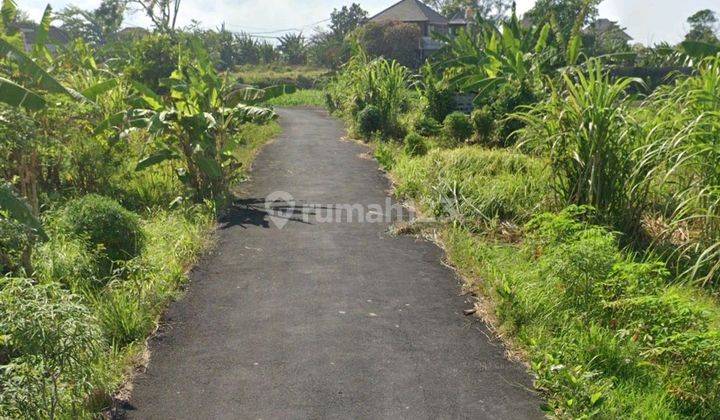 A plot of land for sale in Padang Galak East Denpasar near the beach 2