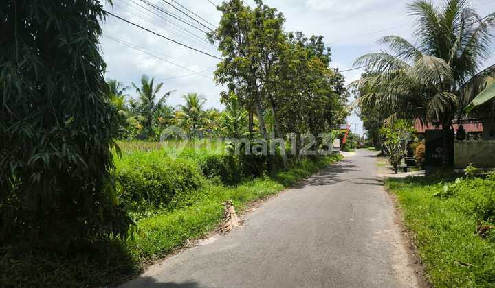 Dijual Tanah Tanah Lokasi Pinggir Jalan Utama Pejeng Kangin Tampaksiring Gianyar Bali Dijual Tanah Tanah Lokasi Pinggir Jalan Utama Pejeng Kangin Tampaksiring Gianyar Bali