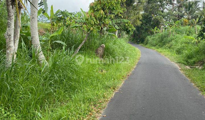 Dijual Sebidang Sawah Lokasi Desa Baru Kecamatan Marga Tabanan Akses Jalan Mobil Aspal 1