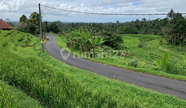 For Rent: A Plot of Land Located on Jatiluwih - Mengesta Main Road, Tabanan, View of Rice Fields and Mount Batukaru