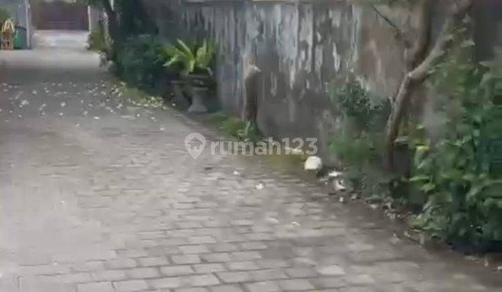 Dijual tanah isi bangunan rumah layak huni dikawasan jalan raya puputan renon denpasar. 2