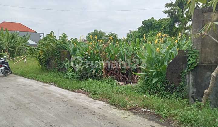 Dijual Tanah Kosong Kawasan Jalan Tukad Citarum Panjer Denpasar Dijual Tanah Kosong Kawasan Jalan Tukad Citarum Panjer Denpasar