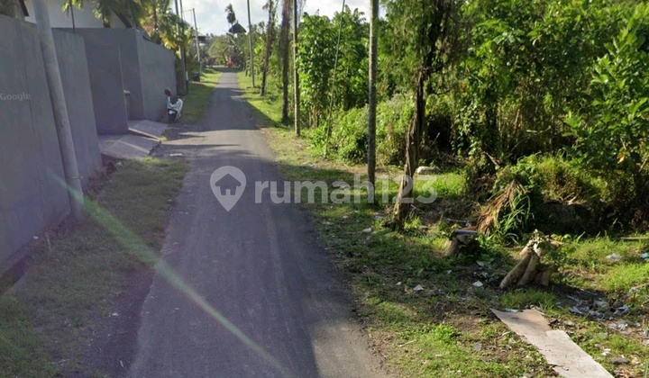 Dikontrakan Sebidang Tanah Lokasi Tebongkang Singakerta Ubud Gianyar Bali Dikontrakan Sebidang Tanah Lokasi Tebongkang Singakerta Ubud Gianyar Bali